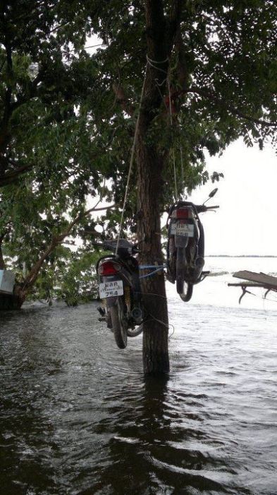 Thailand Flood 2011