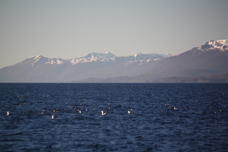 Beagle Channel, Tierra del Fuego