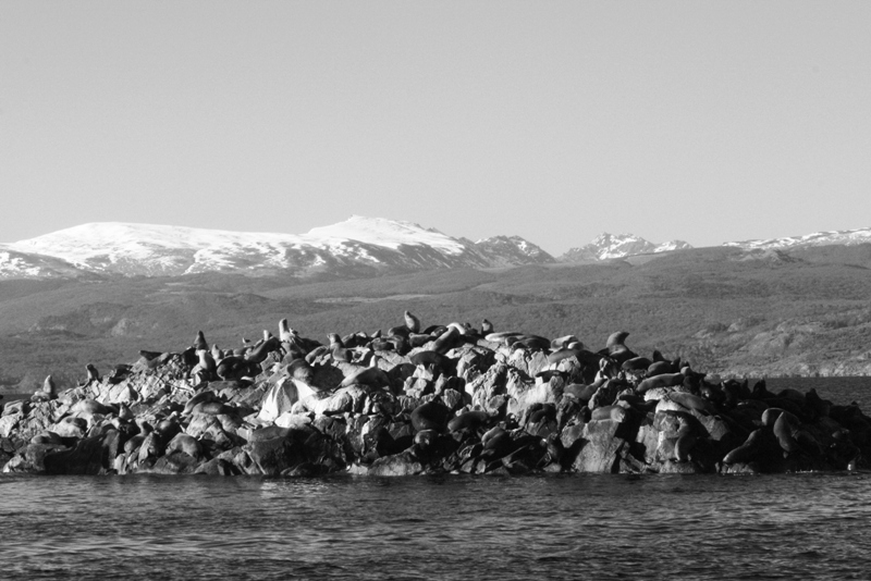  Beagle Channel, Tierra del Fuego, Argentina