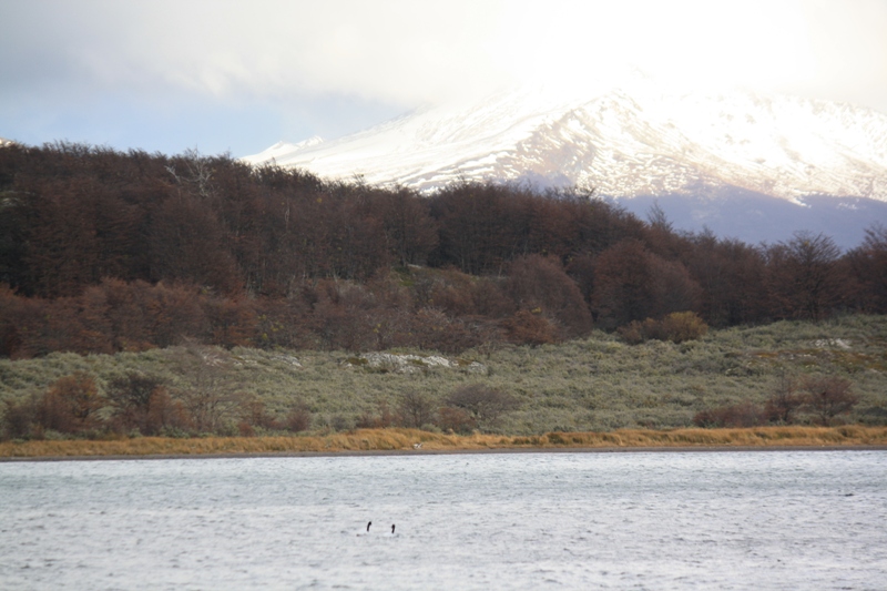 Lago Roca, Parque Nacional, Argentina