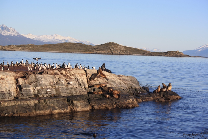 Beagle Channel, Tierra del Fuego