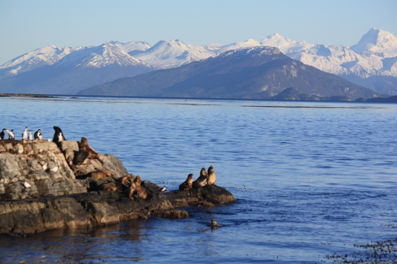 Beagle Channel, Tierra del Fuego