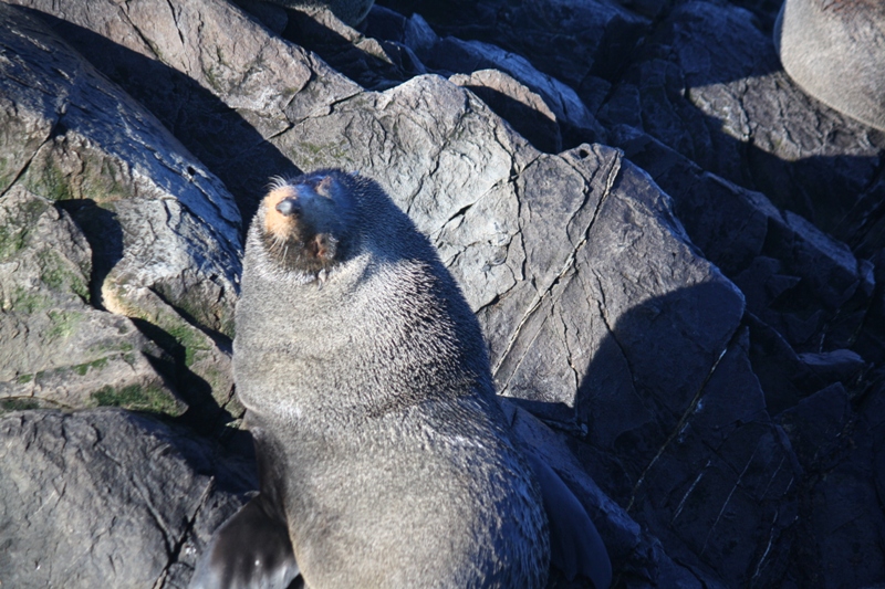 Beagle Channel, Tierra del Fuego