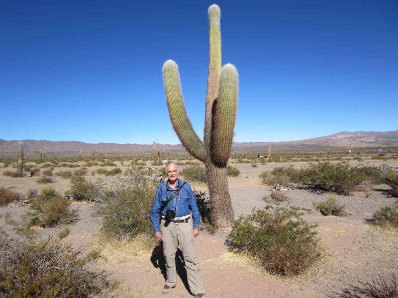  Parque nacional Los Cardones, Salta Province, Argentina