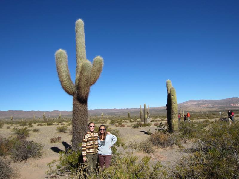  Parque nacional Los Cardones, Salta Province, Argentina