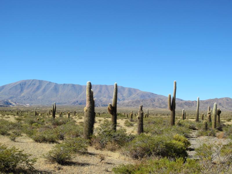 Salta Province, Argentina