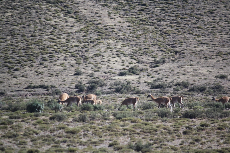 Salta Province, Argentina