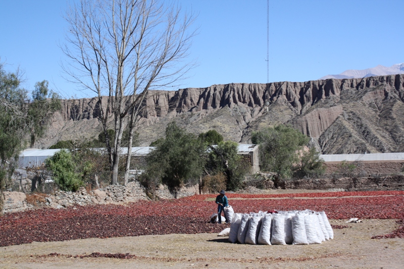 Cachi, Salta Province, Argentina