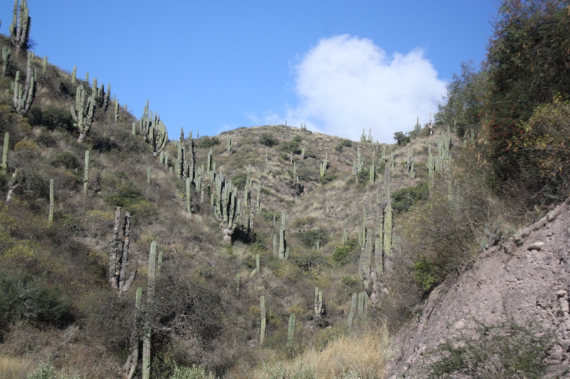 Salta Province, Argentina