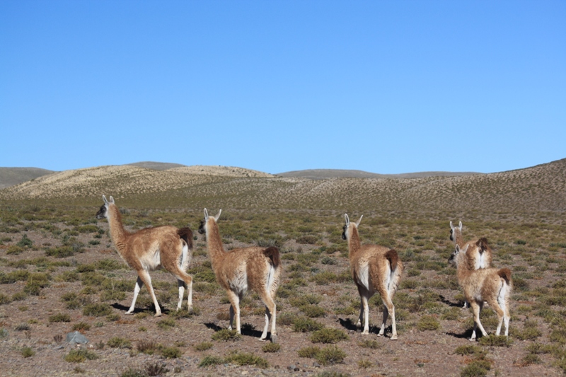 Salta, Argentina