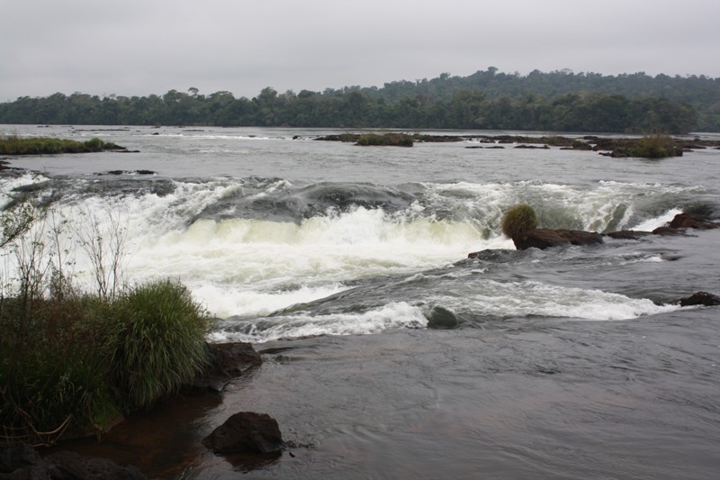 The Trail to Iguazu Falls, Argentina