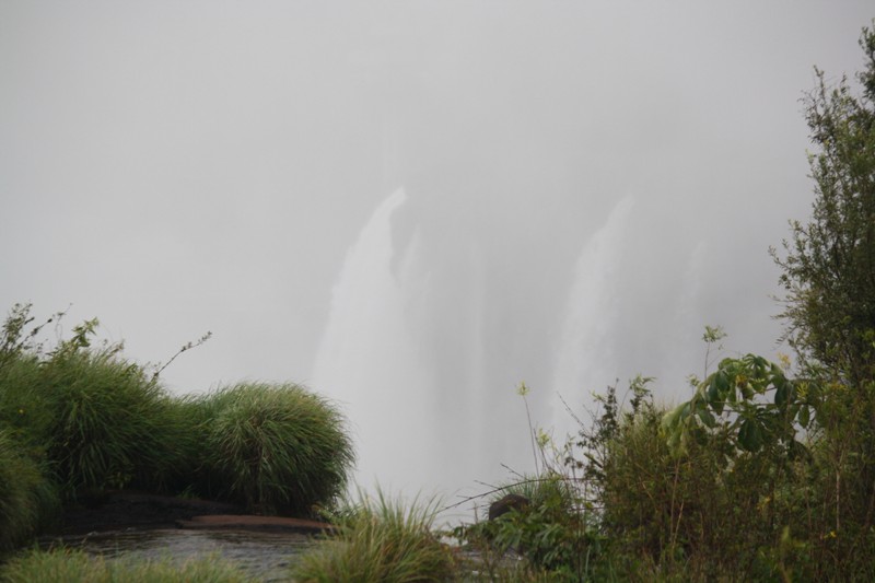 The Trail to Iguazu Falls, Argentina