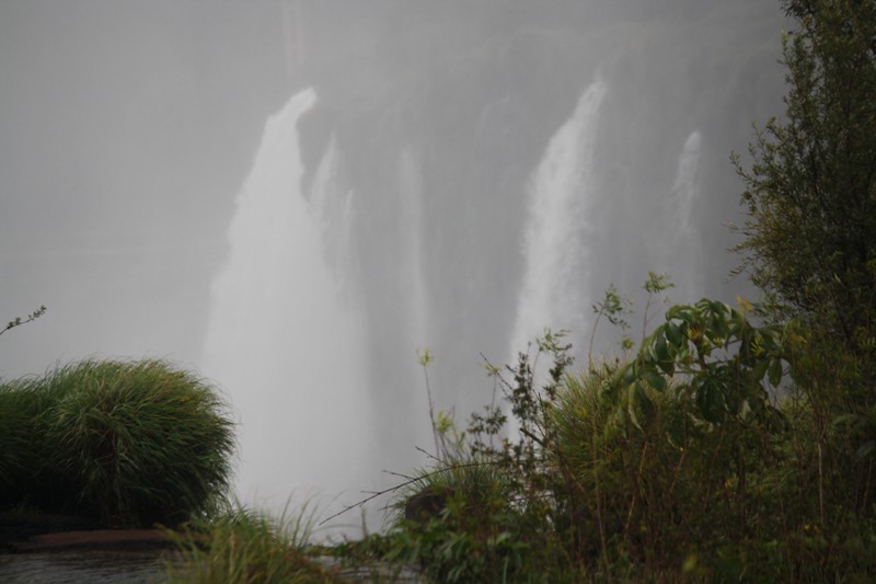 The Trail to Iguazu Falls, Argentina