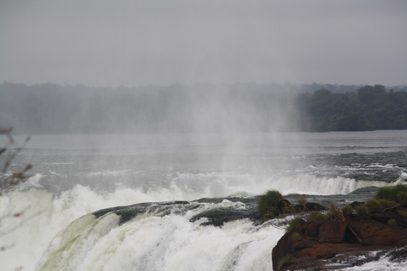 The Trail to Iguazu Falls, Argentina