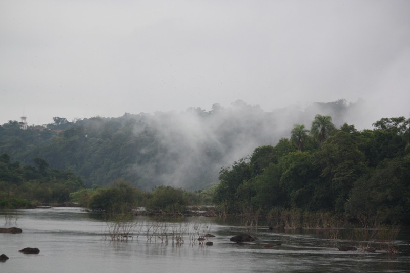 The Trail to Iguazu Falls, Argentina