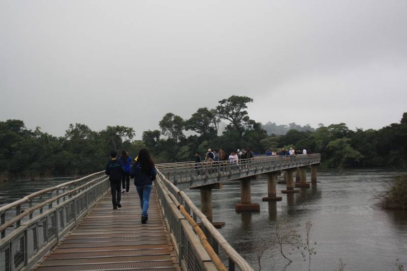 The Trail to Iguazu Falls, Argentina