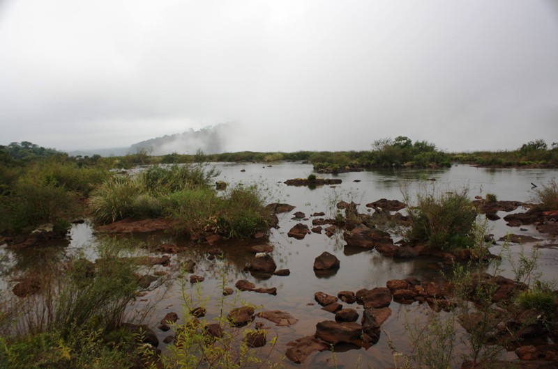 The Trail to Iguazu Falls, Argentina