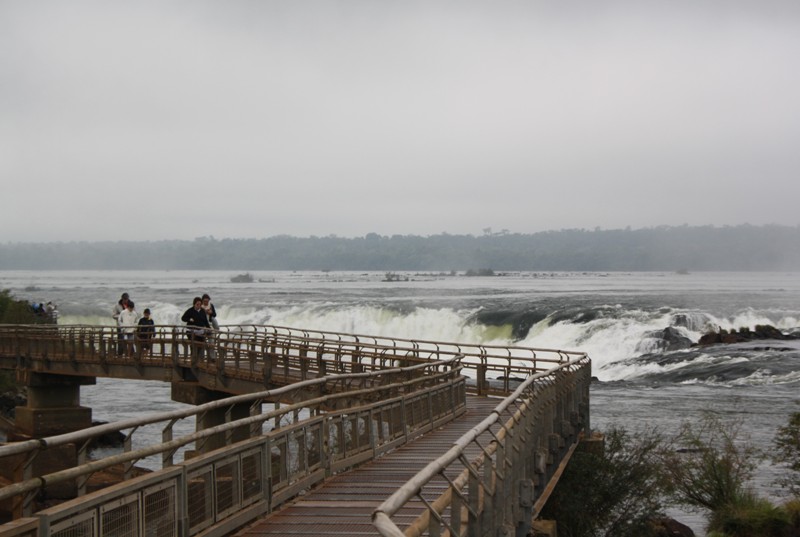 The Trail to Iguazu Falls, Argentina