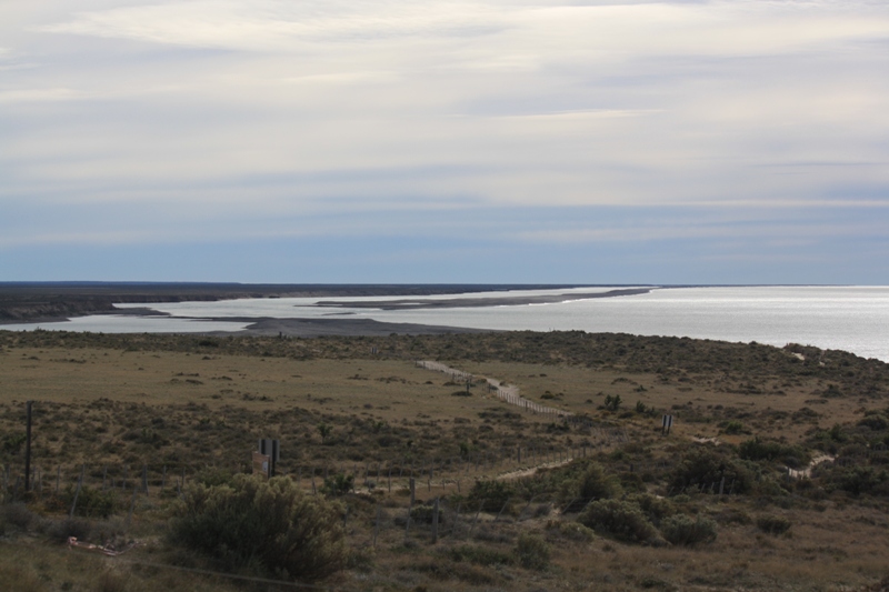 Peninsula Valdes, Argentina