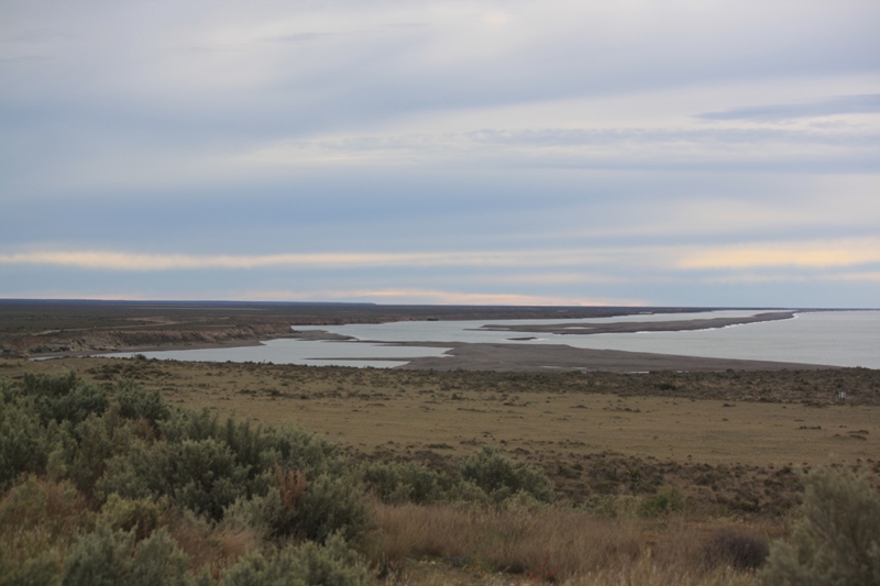 Peninsula Valdes, Argentina