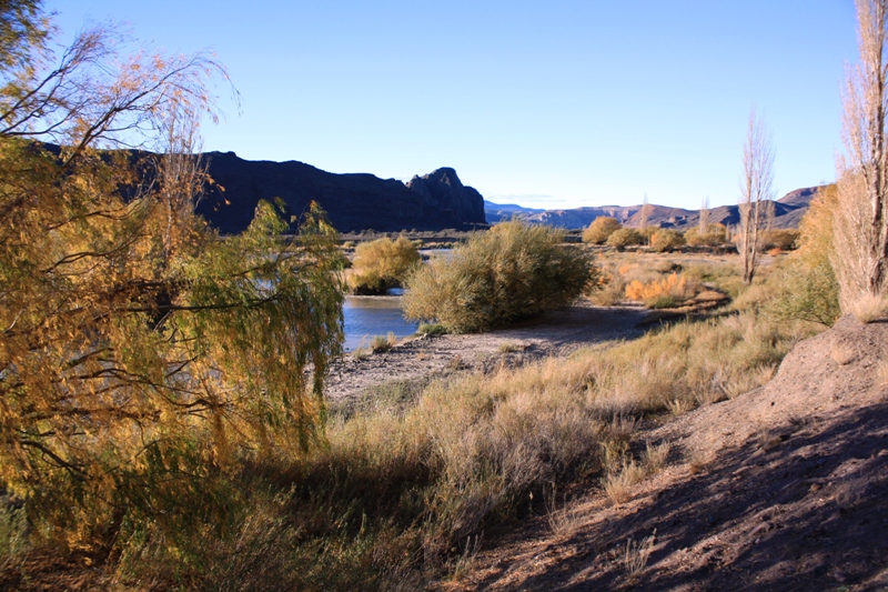 Rio Chubat,  Las Plumas,  Patagonia, Argentina