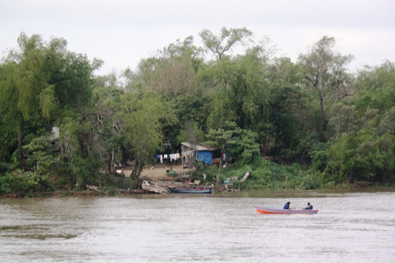 Jungle, Río Paraná, Santa Fe, Argentina