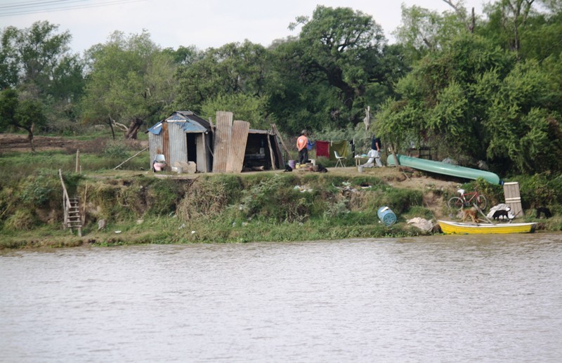 Jungle, Río Paraná, Santa Fe, Argentina