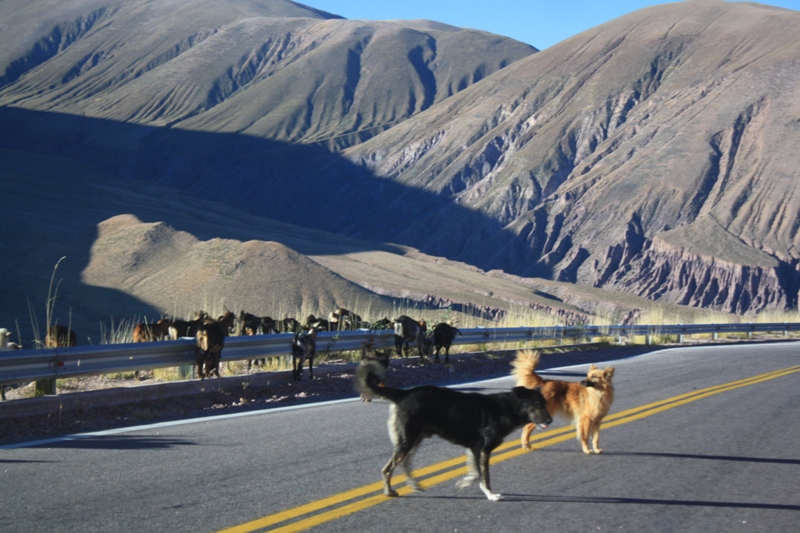 Purmamarca, Jujuy Province, Argentina