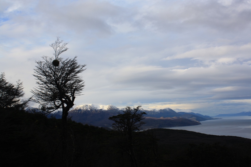 Beagle Channel from Glaciar Martial, Ushuaia