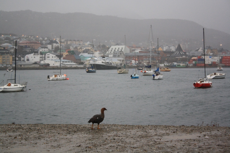 Ushuaia, Tierra del Fuego