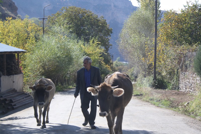 Yeghegis Valley, Armenia