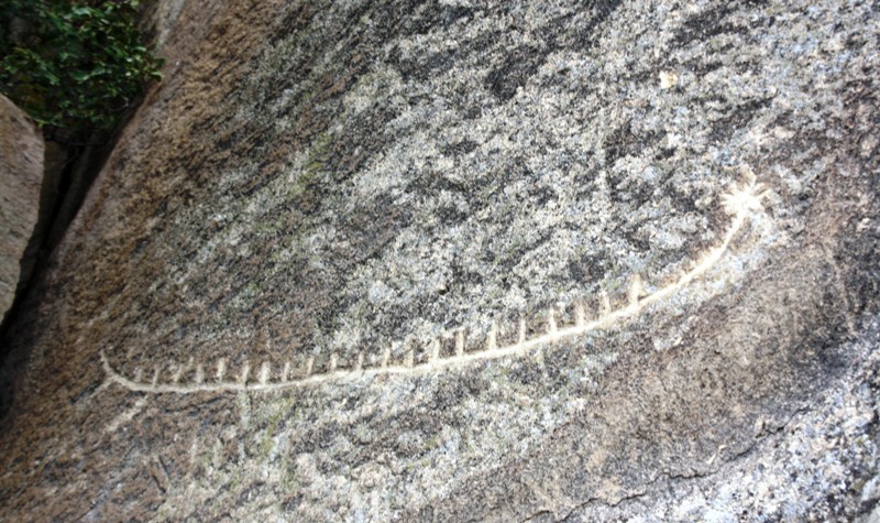 Petroglyphs, Qobustan, Azerbaijan