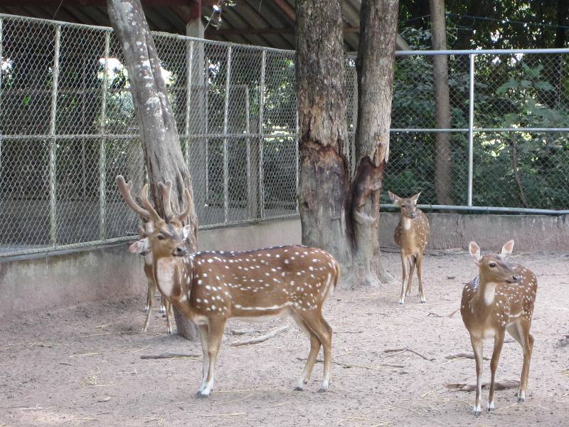 Somdet Phra Si Nakarin Park, Si Saket, Thailand