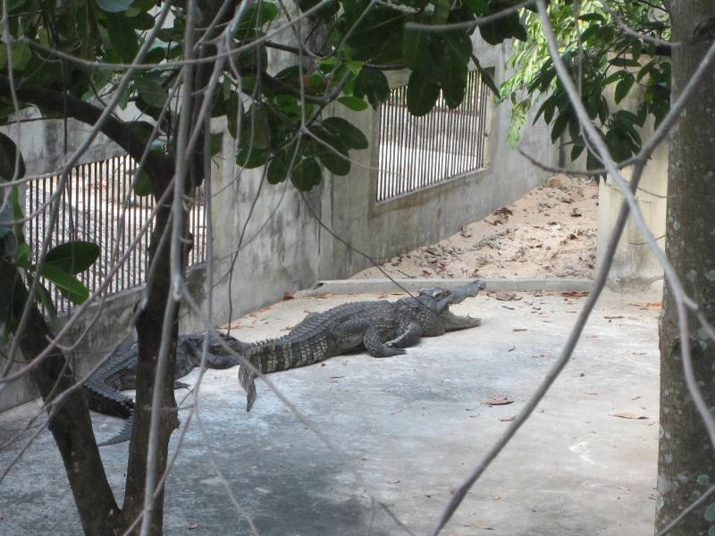 Somdet Phra Si Nakarin Park, Si Saket, Thailand