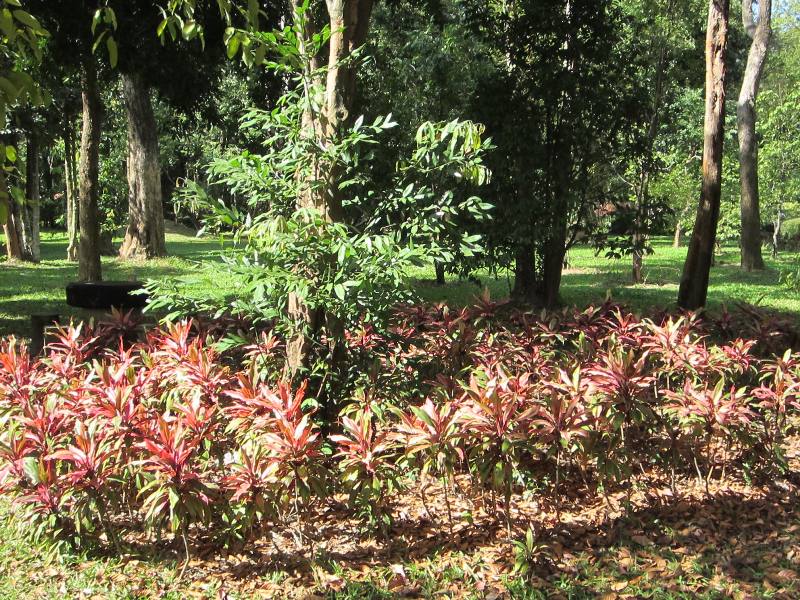 Somdet Phra Si Nakarin Park, Si Saket, Thailand