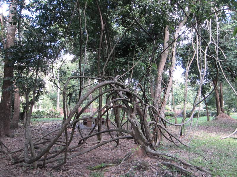 Somdet Phra Si Nakarin Park, Si Saket, Thailand