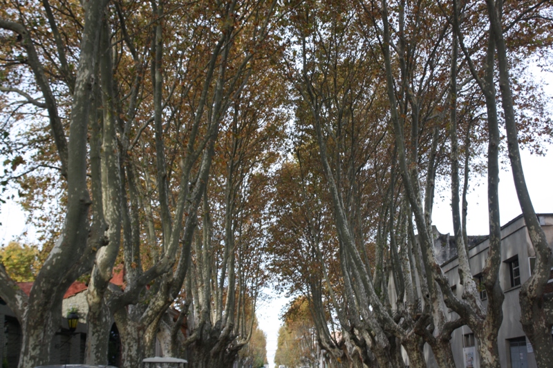 Colonia del Sacramento, Uruguay