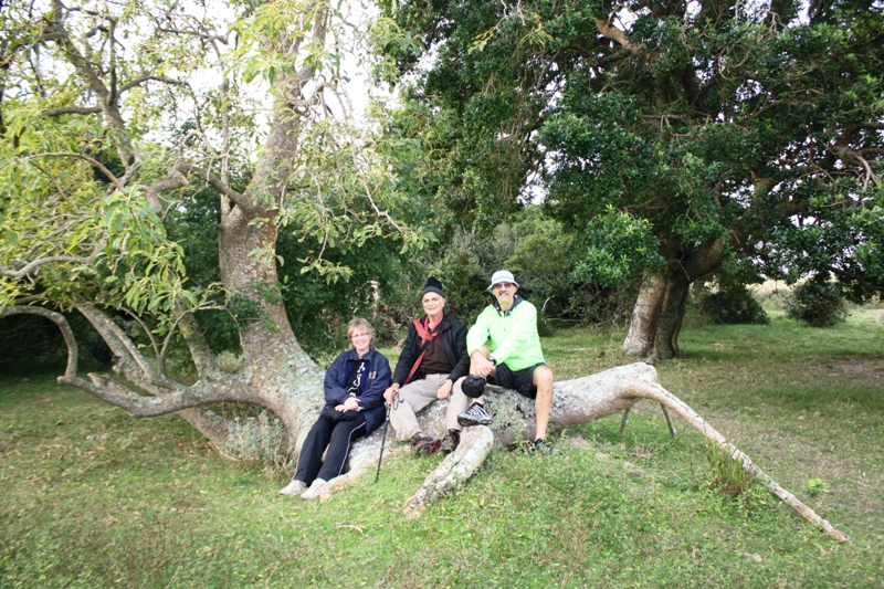 Bosque de Ombúes