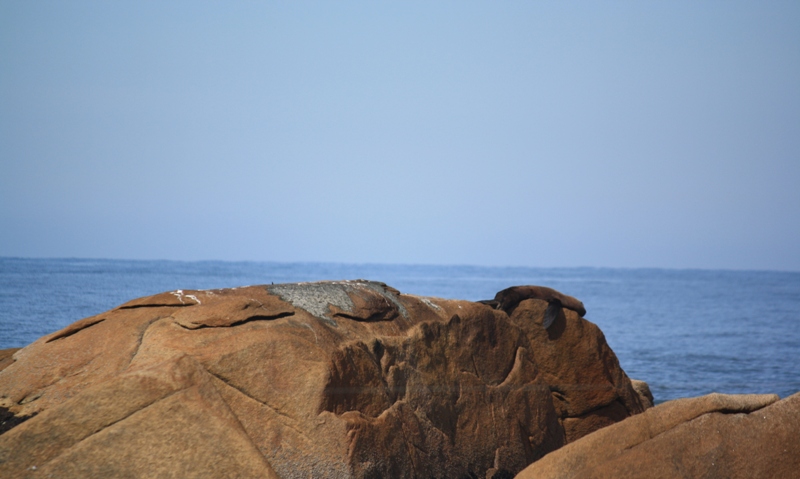 Cabo Polonio, Uruguay