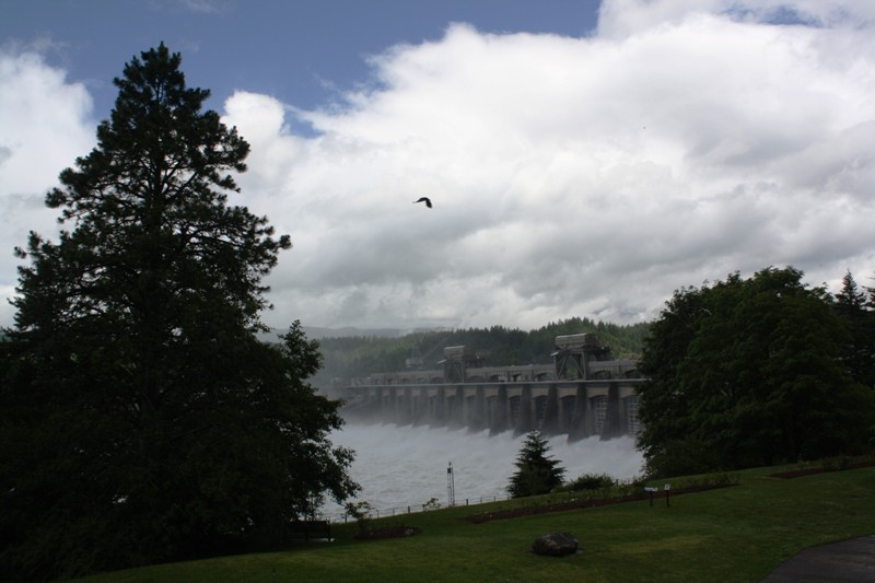 Bonneville Dam, Columbia River