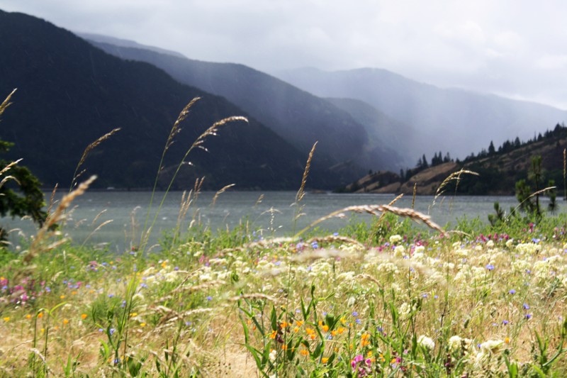 Columbia River Gorge