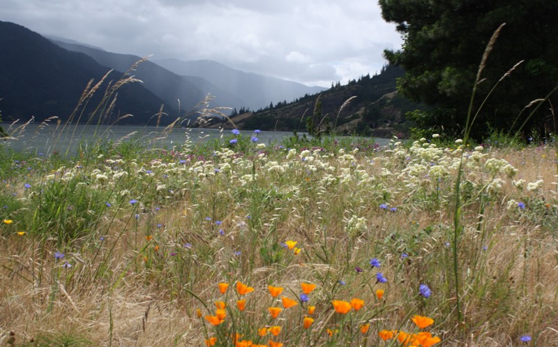 Columbia River Gorge