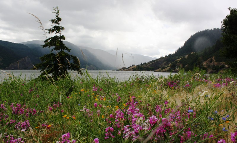 Columbia River Gorge