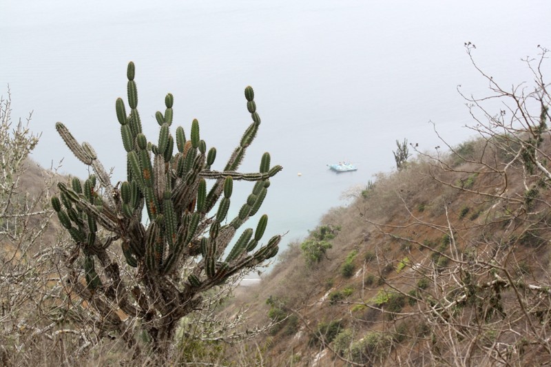 Isla de la Plata, Ecuador