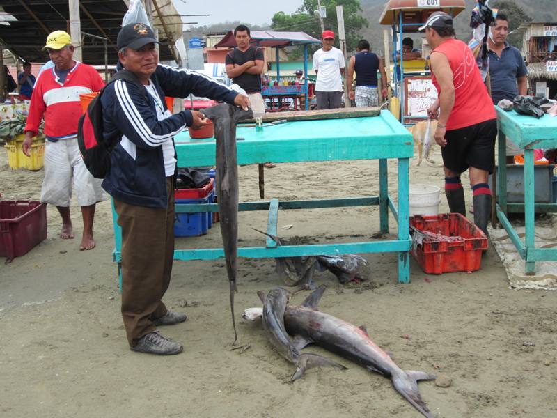 Puerto López, Ecuador