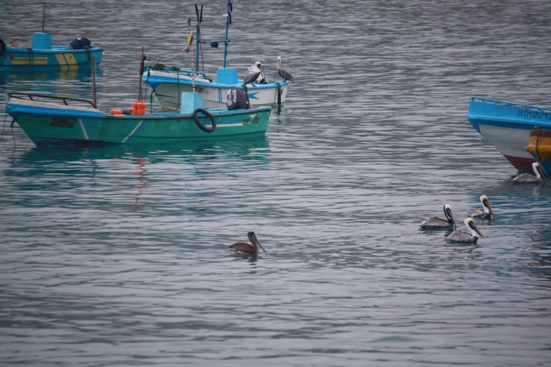 Puerto López, Ecuador