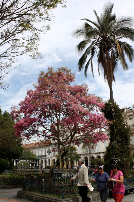 Cuenca, Ecuador