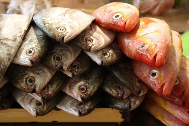 Cuenca, Ecuador