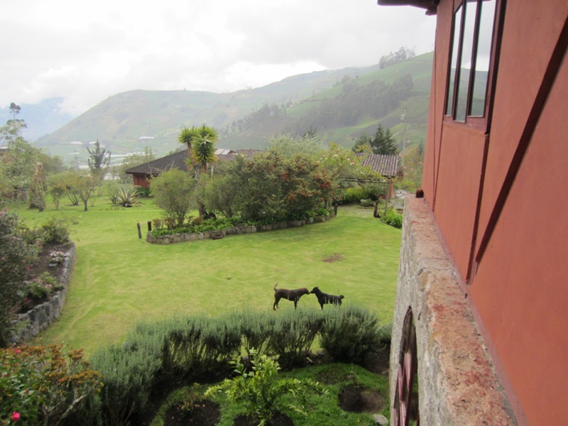 Hacienda Manteles, Patate, Ecuador