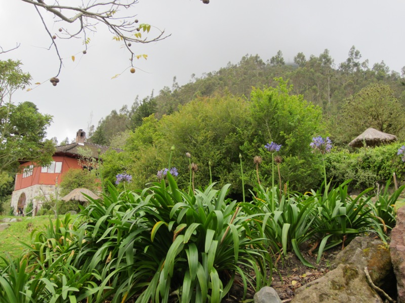 Hacienda Manteles, Patate, Ecuador